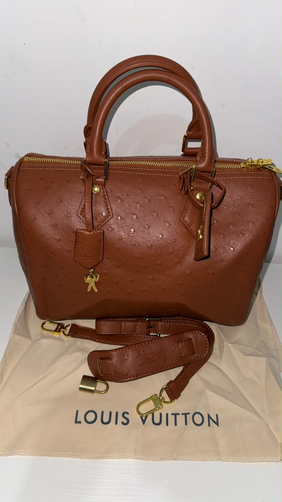 Borsa LV 027